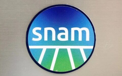 Immagine rappresentativa di Snam e della sua attività nel settore energetico