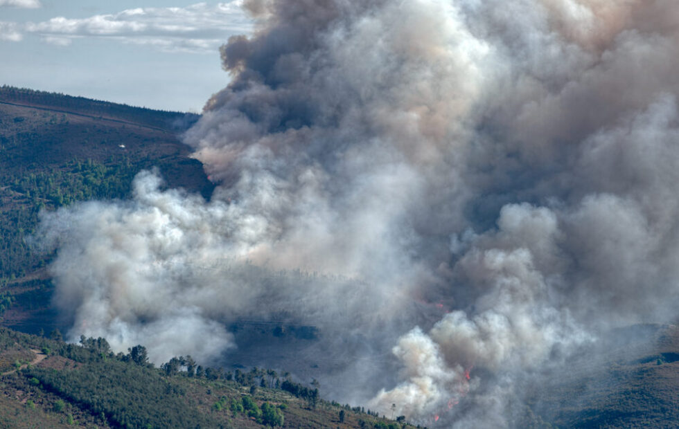 Incendi in Spagna e Francia