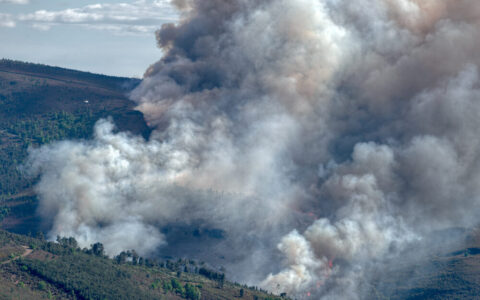 Incendio boschivo in Gironda