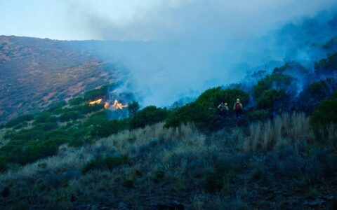 Intervento dei Vigili del Fuoco per incendi a Palermo