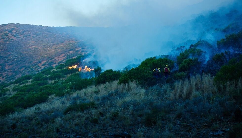 Intervento dei Vigili del Fuoco per incendi a Palermo