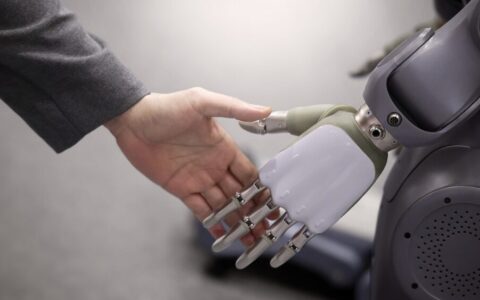 Robot interattivi di Enigma