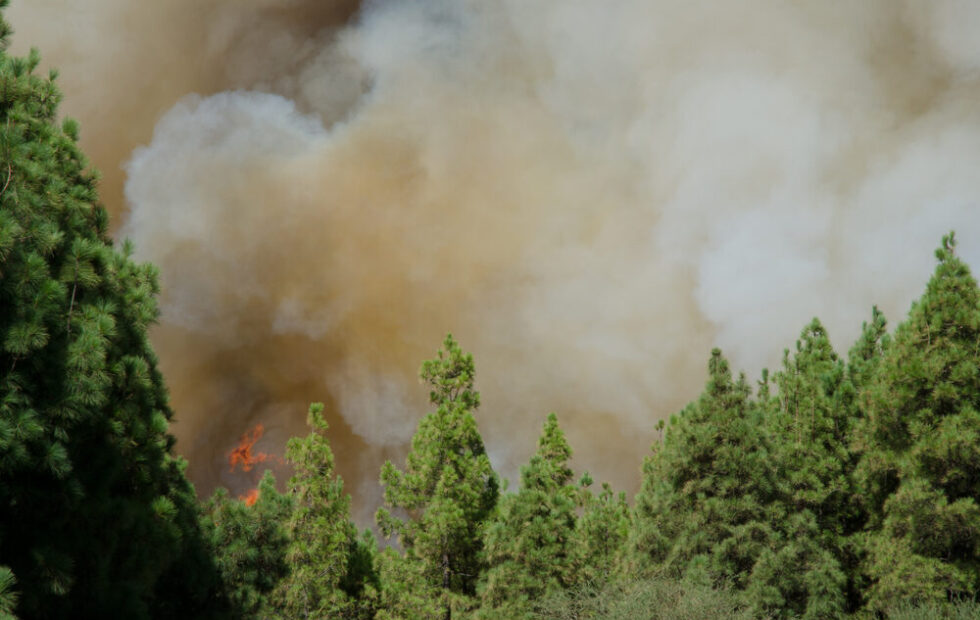 Incendi in Gironda, Francia