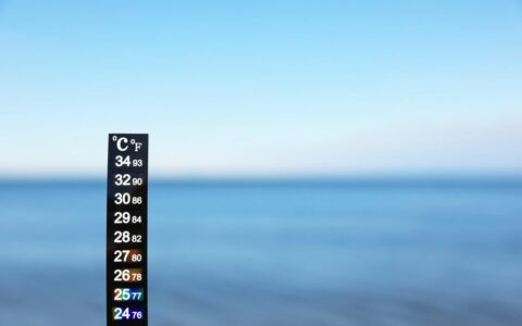Temperatura media superficiale del mare