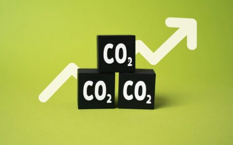 Grafico del mercato delle quote di CO2