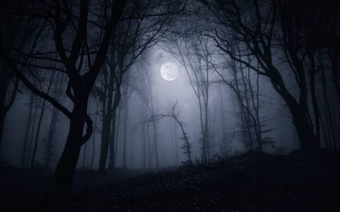 Silent Hill: Townfall - immagine di gioco