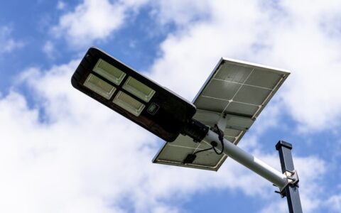 Ortaggi a foglia coltivati con luce controllata