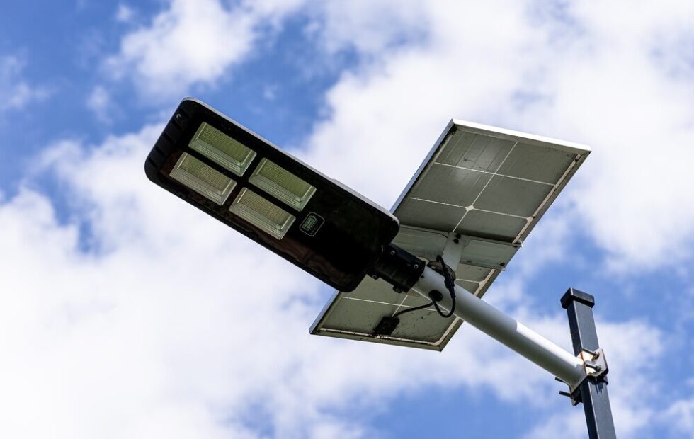 Ortaggi a foglia coltivati con luce controllata