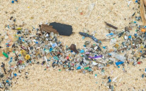 Emergenza plastica e crisi del riciclo in Italia