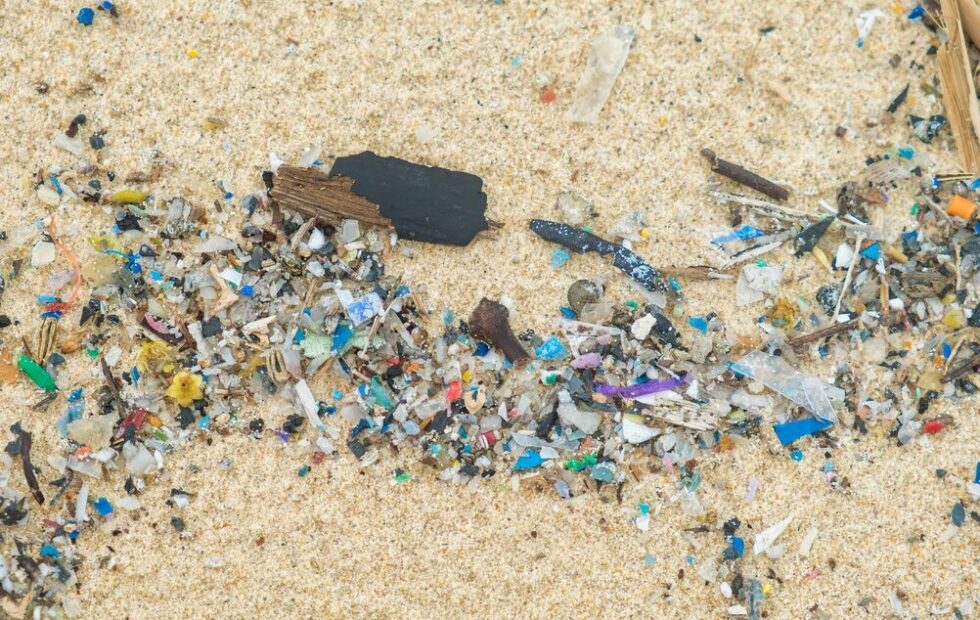 Emergenza plastica e crisi del riciclo in Italia