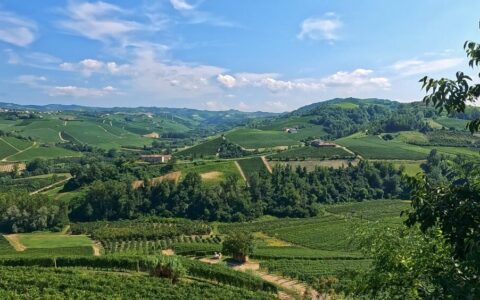Sacchi Beer Fest a Cuneo